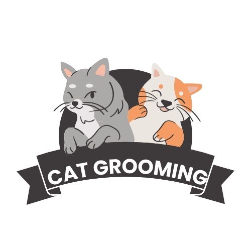 Cat Groom